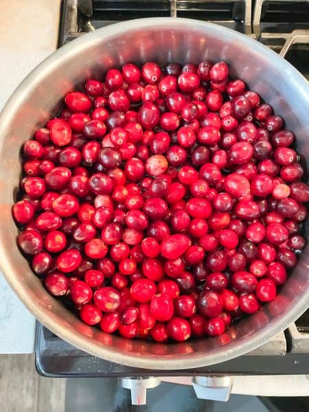 Large stainless steel stockpot with cranberries on the stovetop.